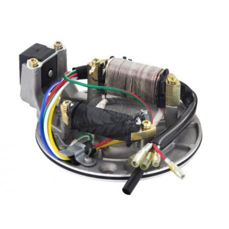 Stator Magneto (70cc to 160cc)