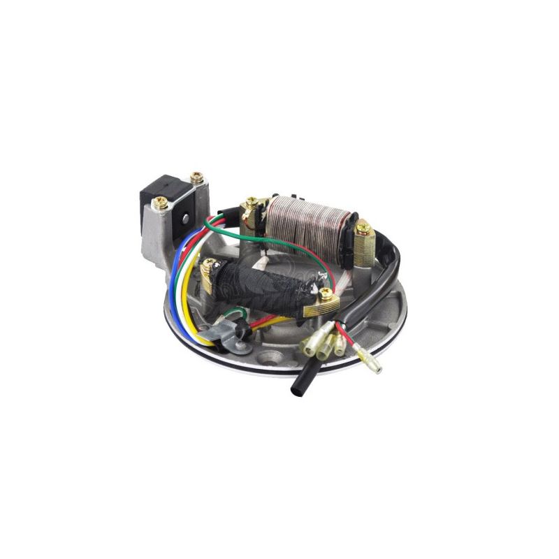 Stator Magneto (70cc to 160cc)