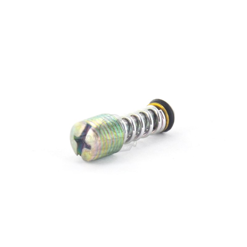 Slowed screw + spring for MIKUNI