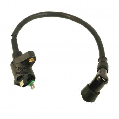 Coil Line Blue type NGK