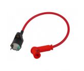 Coil Line Blue type NGK
