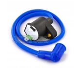 Coil Line Blue type NGK