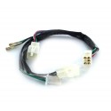 Standard WIRE for 2 Plugs CDI