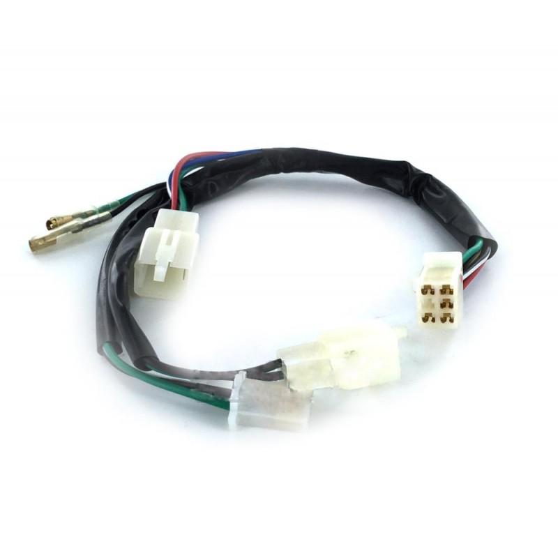 Faisceau Electrique standard CDI Deux broches