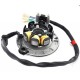 Stator Complet - DAYTONA ANIMA (4 Soupapes)