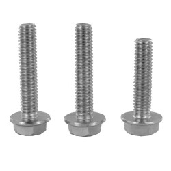 2x 29mmx6mm screws 1x...