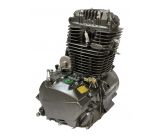 Moteur Vertical YX 250cc pour Motocross