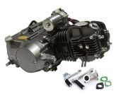 Moteur Dirt Bike YX 125 Démarrage Electrique Haut