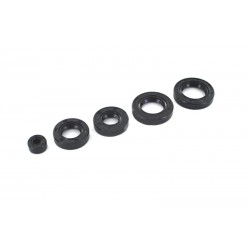 LIFAN oil seal kit