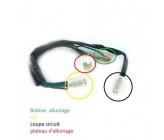 CDI + Faisceau Electrique 1 Broche