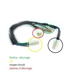 CDI + Faisceau Electrique 1 Broche