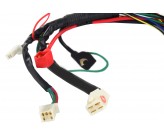 Faisceau Electrique standard CDI Deux broches