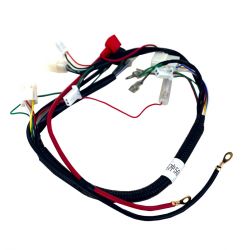 Feixe elétrico - Para motor...
