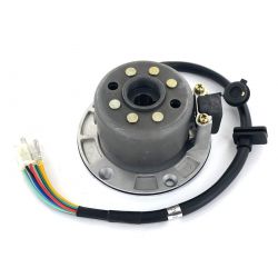 Competition Ignition Plate...