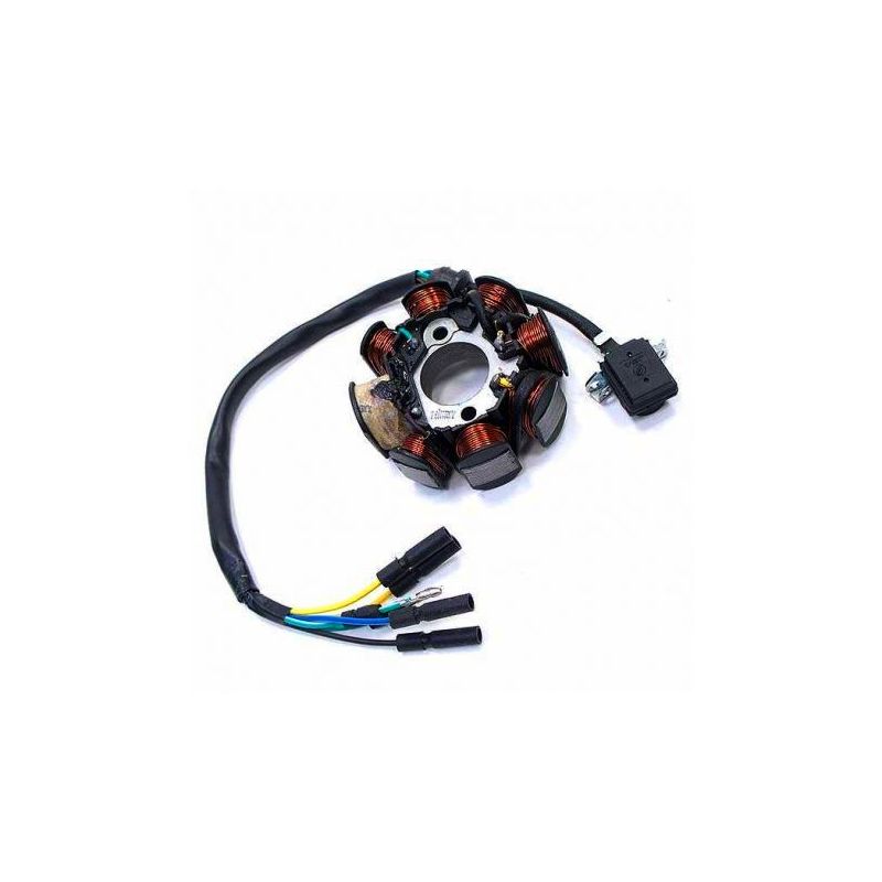 Allumage Rotor Interne