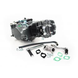 Moteur YX 125cc (Démarrage En Prise) pour Pit Bike