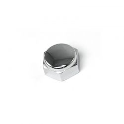 Headstock Screw