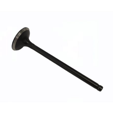 Valve Exaust 150/160cc YX