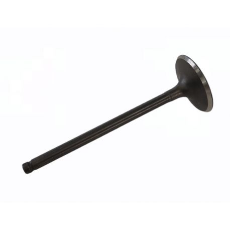 Valve Exaust 150/160cc YX