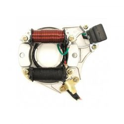 allumage quad electrique