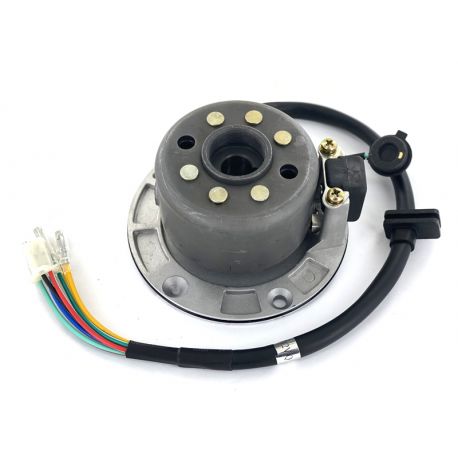 Performance Engine Magneto with inner rotor + CDI