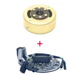 Placa + Rotor de ignição...