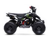 Grafici QUAD Wheely 49cc Monster Energy