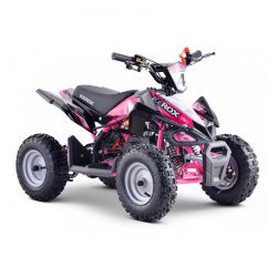 Pocket Quad Kerox Rex 49cc...