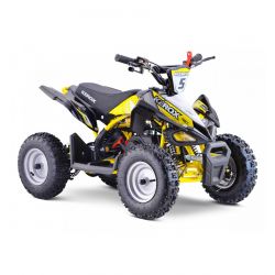 Pocket Quad Kerox Rex 49cc...