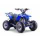 Quad KEROX RAPTOR 110 - Blu