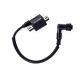 Bobine d\'allumage BIG/ERZ PRO/XDURO