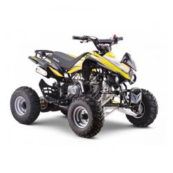 Quad KEROX SPEEDBIRD 110...