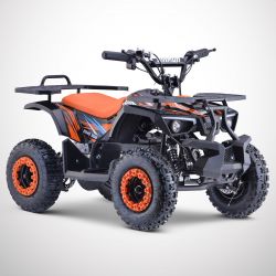 Quad Elettrico DIAMON RINO...