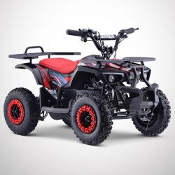 Quad Electrique DIAMON Rino...