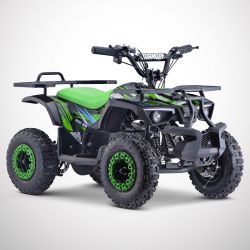 Quad Elettrico DIAMON RINO...