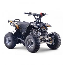 Quad KEROX RAPTOR 110 -...