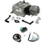 Engine 107cc Lifan Semi-Auto