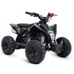 Kit décoration QUAD Wheely 110cc Monster Energy