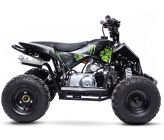 Kit décoration QUAD Wheely 110cc Monster Energy