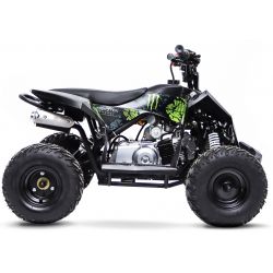 Kit décoration QUAD Wheely 110cc Monster Energy