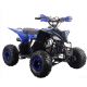 Quad Probike 110-R - Blu - 2023