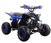 Quad Probike 110-R - Blu - 2023