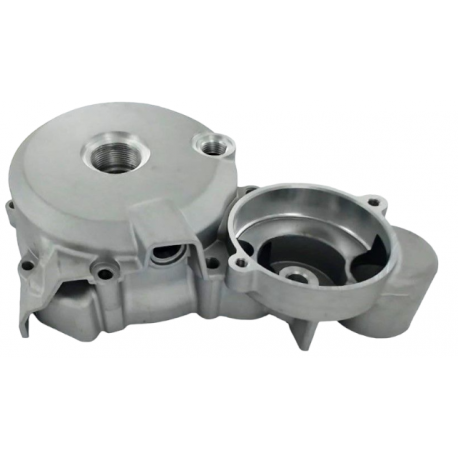 Carter d'allumage moteur vertical - Zongshen - 150/250cc