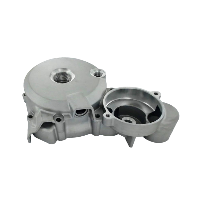 Coperchio accensione motore verticale - Zongshen - 150/250/300cc