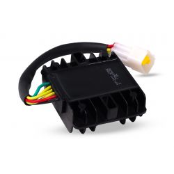 Voltage regulator - ERZ 300L
