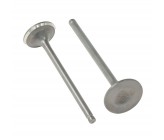 Soupapes d'admission - ERZ300L