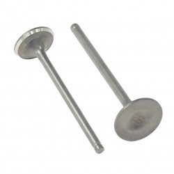 Intake valves - 300cc...