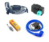 Complet Set Universal Magneto + Spark + Coil Line + CDI