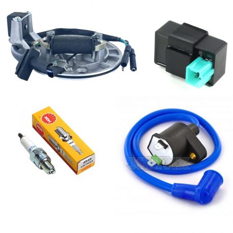 Complet Set Universal Magneto + Spark + Coil Line + CDI