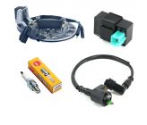 Complet Set Universal Magneto + Spark + Coil Line + CDI